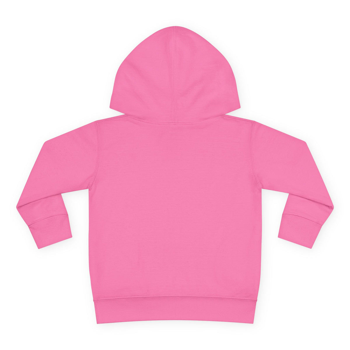 Vintage Worn Toddler Hoodie  Monahans Lobo Land