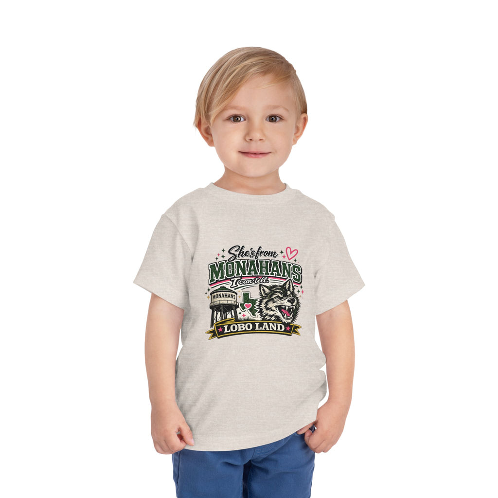 Lobo Land Vintage Worn Toddler Tee