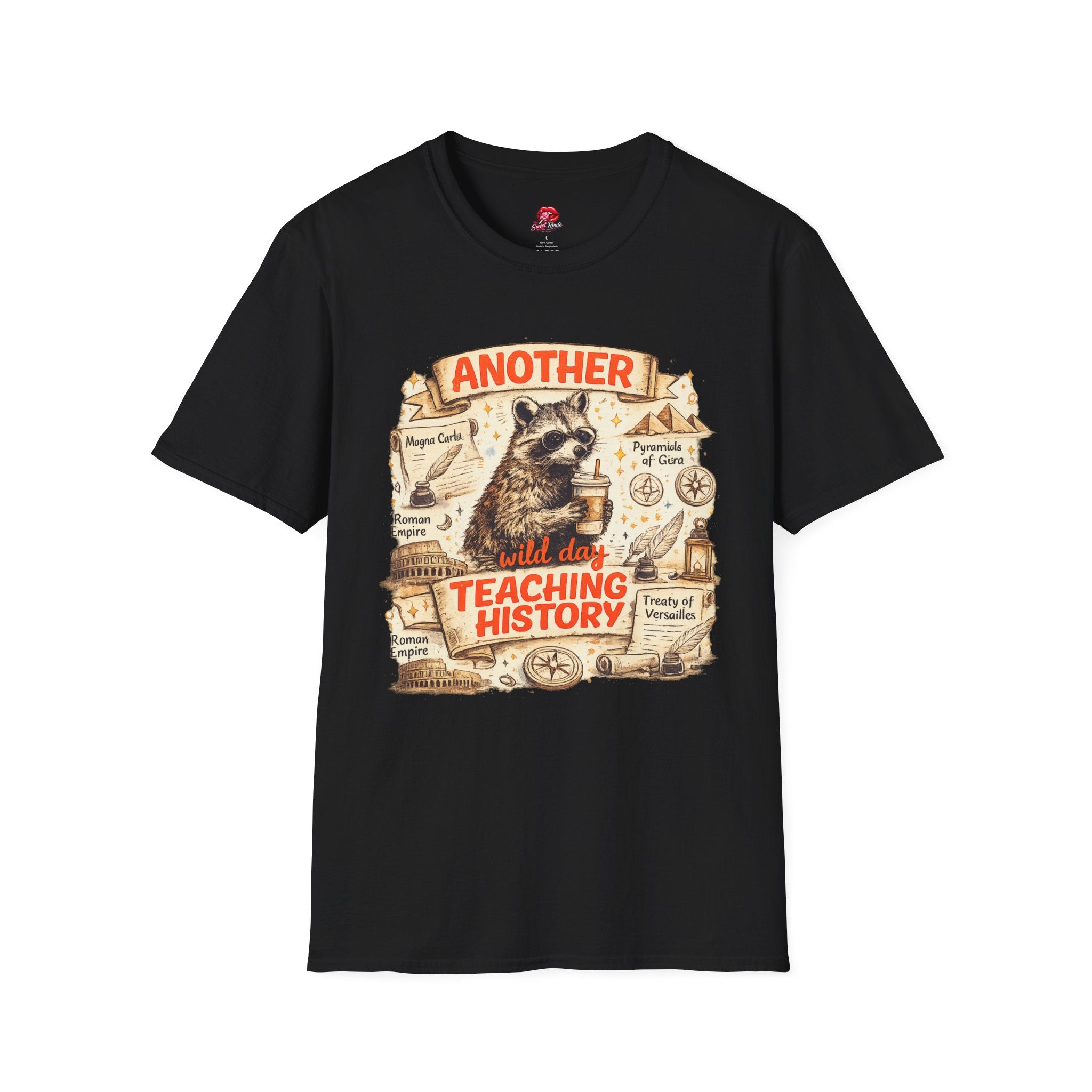 Another Day Teaching History Vintage Raccoon Teacher T-Shirt | Funny History Teacher Graphic Tee | Social Studies Teacher Gift