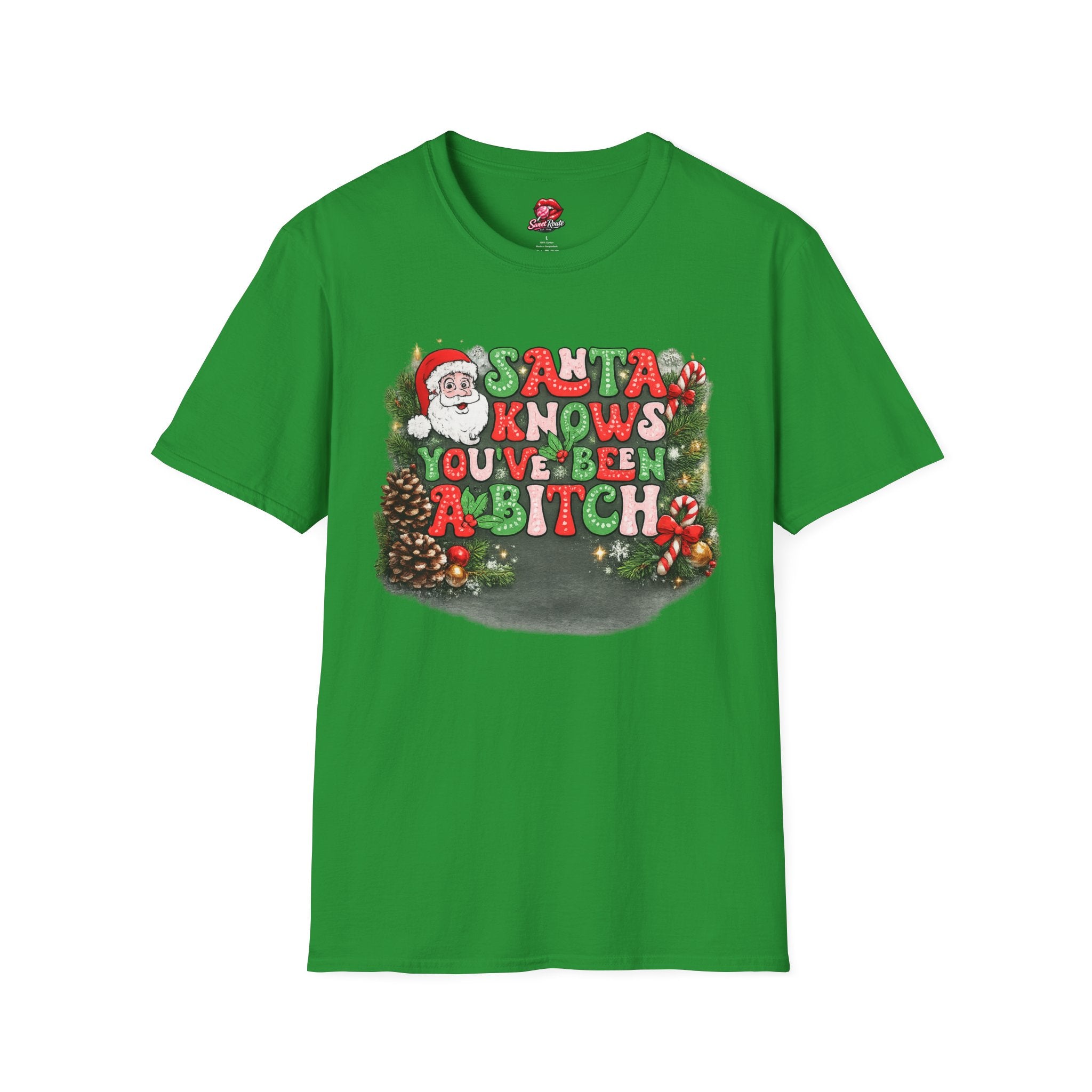 Santa Knows You've Been A Bitch T-Shirt