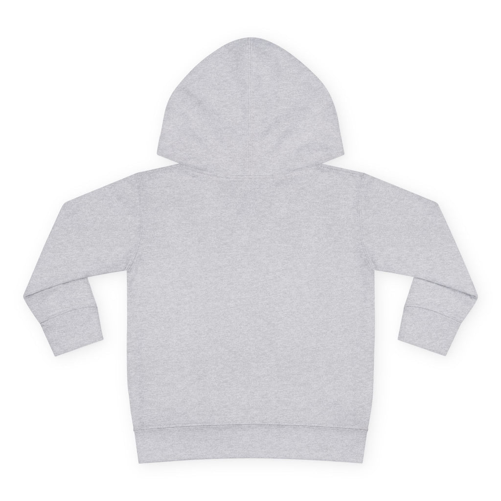 Vintage Worn Toddler Hoodie  Monahans Lobo Land