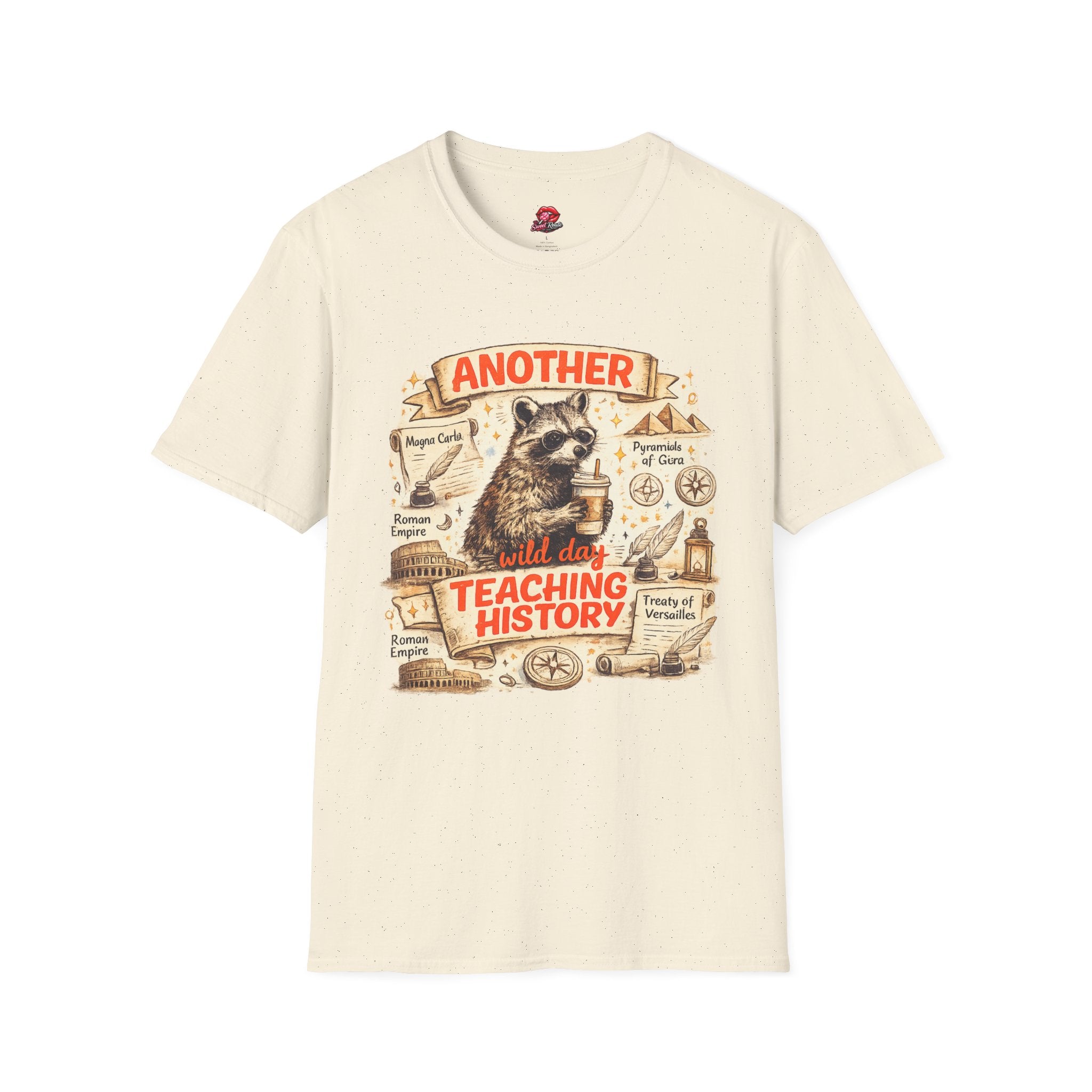 Another Day Teaching History Vintage Raccoon Teacher T-Shirt | Funny History Teacher Graphic Tee | Social Studies Teacher Gift