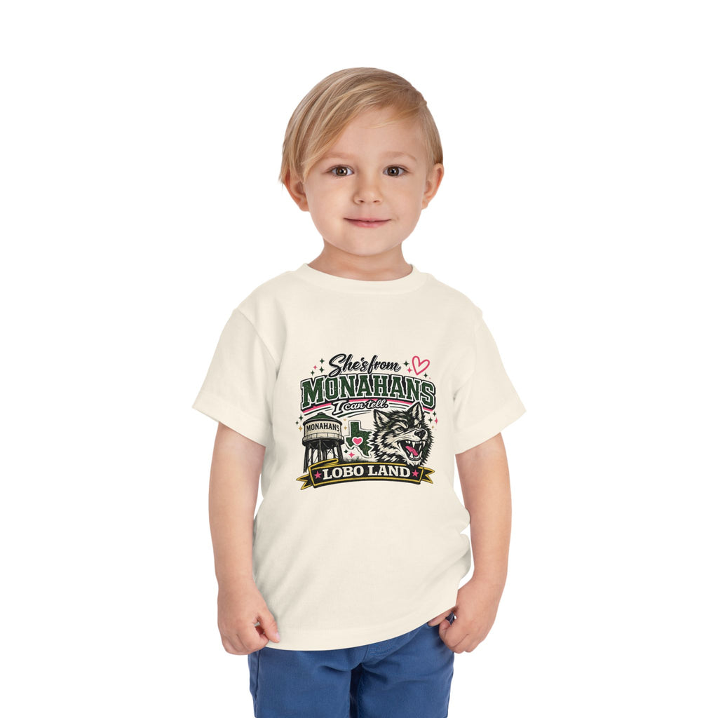 Lobo Land Vintage Worn Toddler Tee