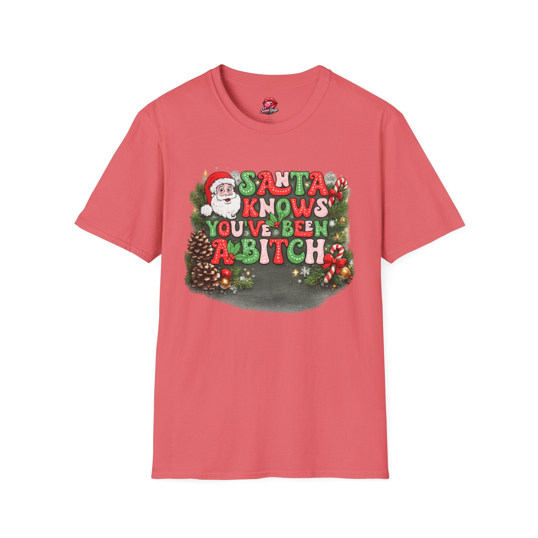 Santa Knows You've Been A Bitch T-Shirt